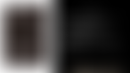 第1章　終わりなき論争：《A面》速読の技術——本を精査するためのスキニング｜試し読み②