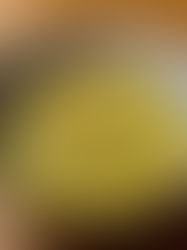 Sweet Potato and Kale Soup