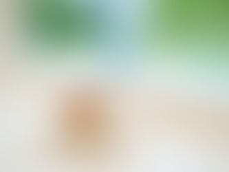 記事：美食の一皿