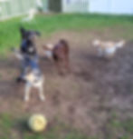 20230424_084027_edited