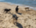 20230408_123157_edited