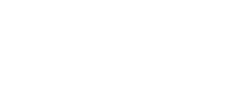 american champion aircraft logo.webp