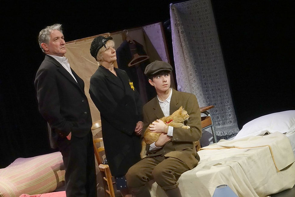 le-journal-danne-frank---cie-de-lourson-blanc-de-segr---mise-en-scne-bclement---20-novembr