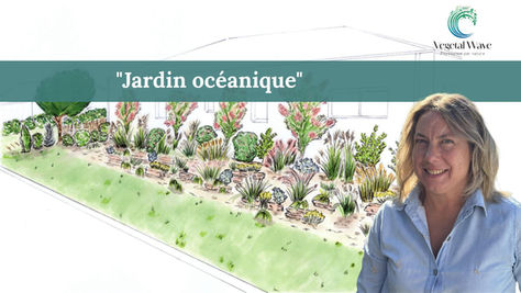 Jardin océanique - Une création Vegetal Wave