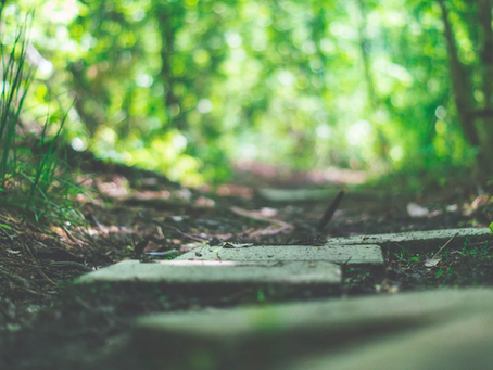 Let's talk about stepping!