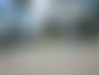 Build it and they will come??? My Visa hopes so.