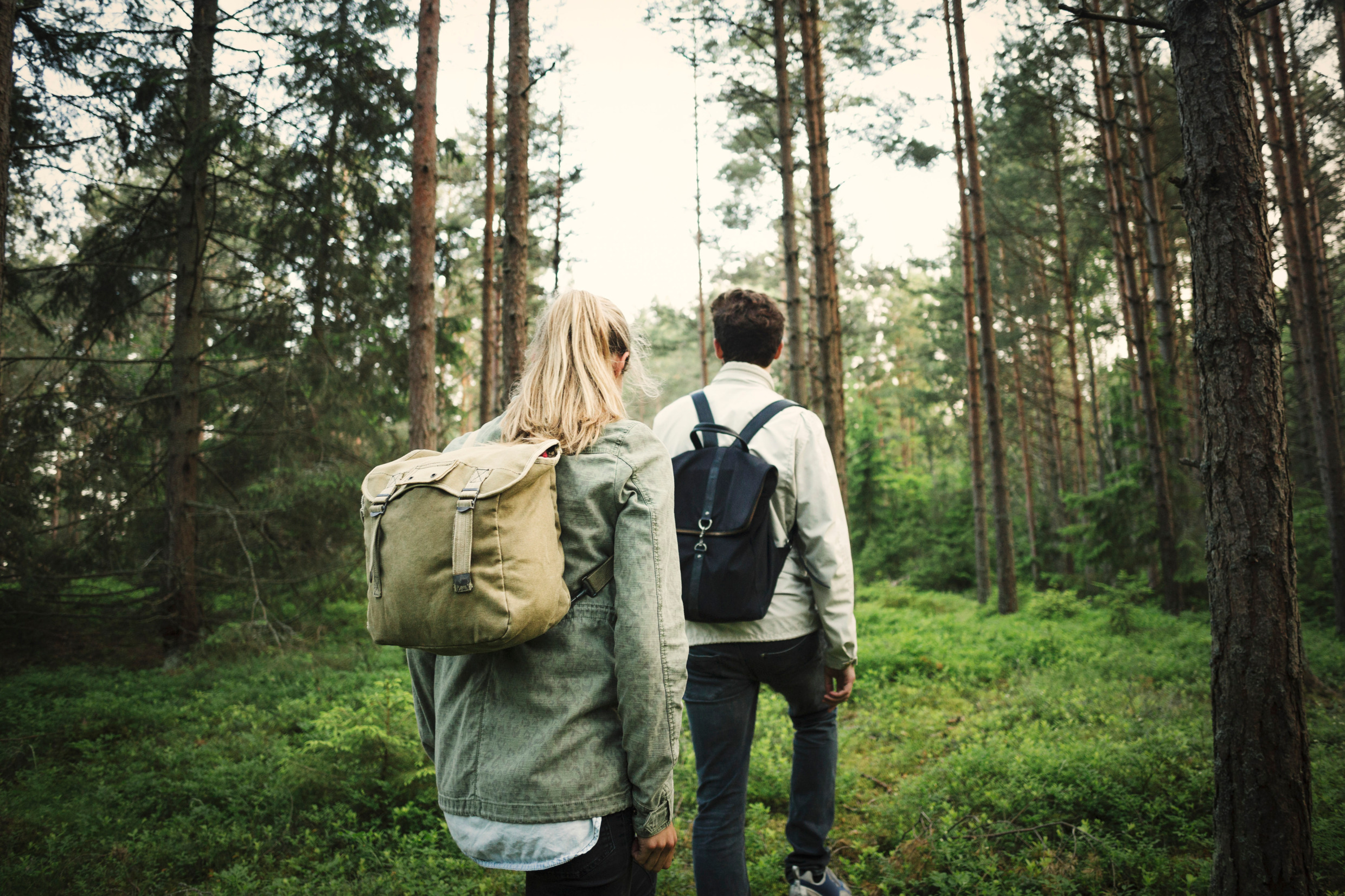 Hiking Landet.jpg