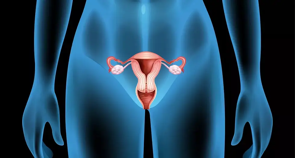 grossesse extra utérine