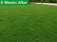Bermuda After Photo