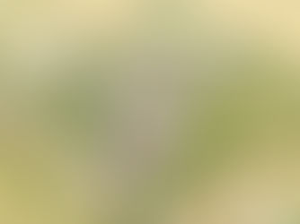 TWO DEVELOPMENT SITES IN BUCKINGHAMSHIRE