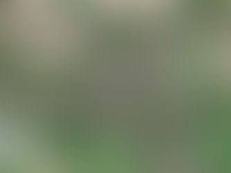 3 NEW HOUSES IN MERE, WILTSHIRE