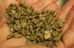 Café verde, ¡la fórmula mágica para adelgazar!