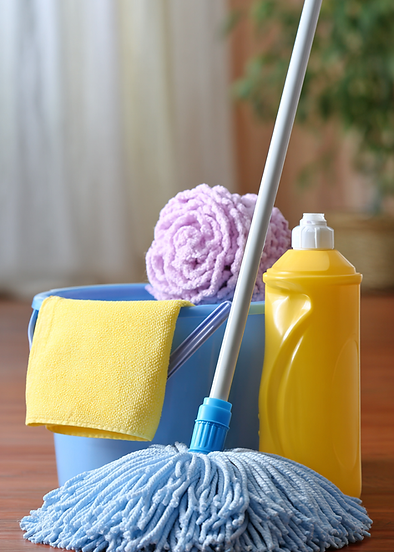 pale9089_make_an_image_for_a_mamas_shine_and_clean_business_t_21a3a6e6-b212-4351-a43c-886c