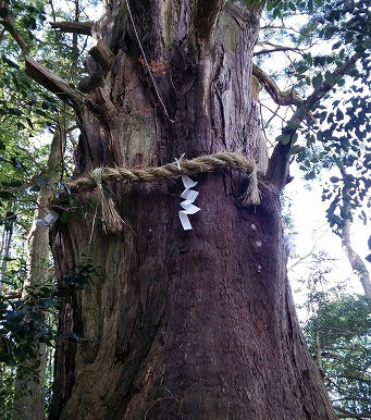 <第51稿>1年の感謝を「山の神様」
