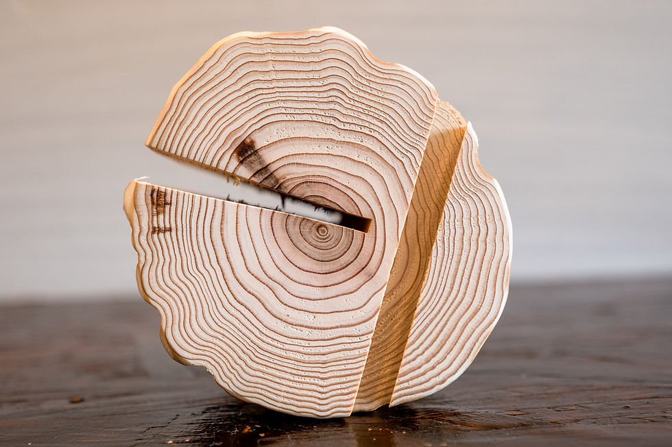 サムネイル： 森の丸太スタンド　「WAVE」/ スマホ・タブレットスタンド