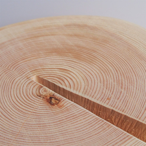 ヒノキ 丸太 file.jpg