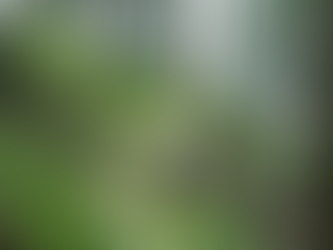 立命館大学新聞に掲載されました