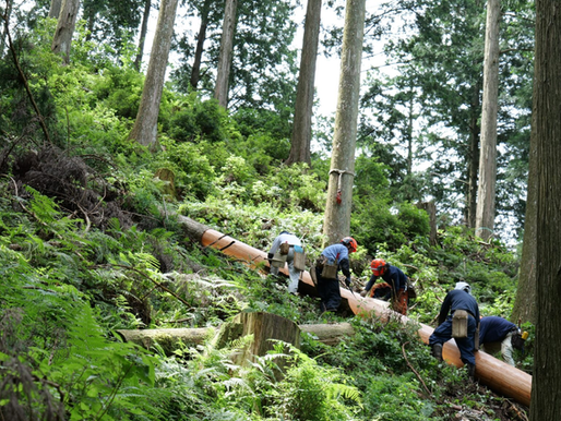 立命館大学新聞に掲載されました