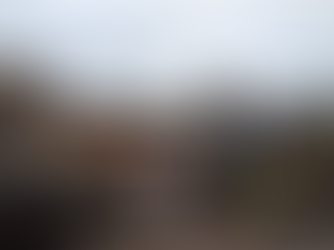 <第68稿>森から想いを乗せて 端午の節句