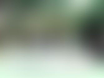 🌸森林ツアー3/29(土) 募集開始🌸