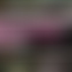 What Netflix Didn't Show