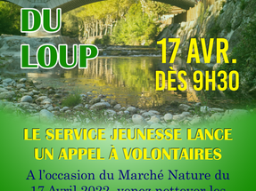 NETTOYAGE CITOYEN DES BERGES DU LOUP