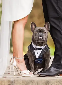 Image by Pals and Tails