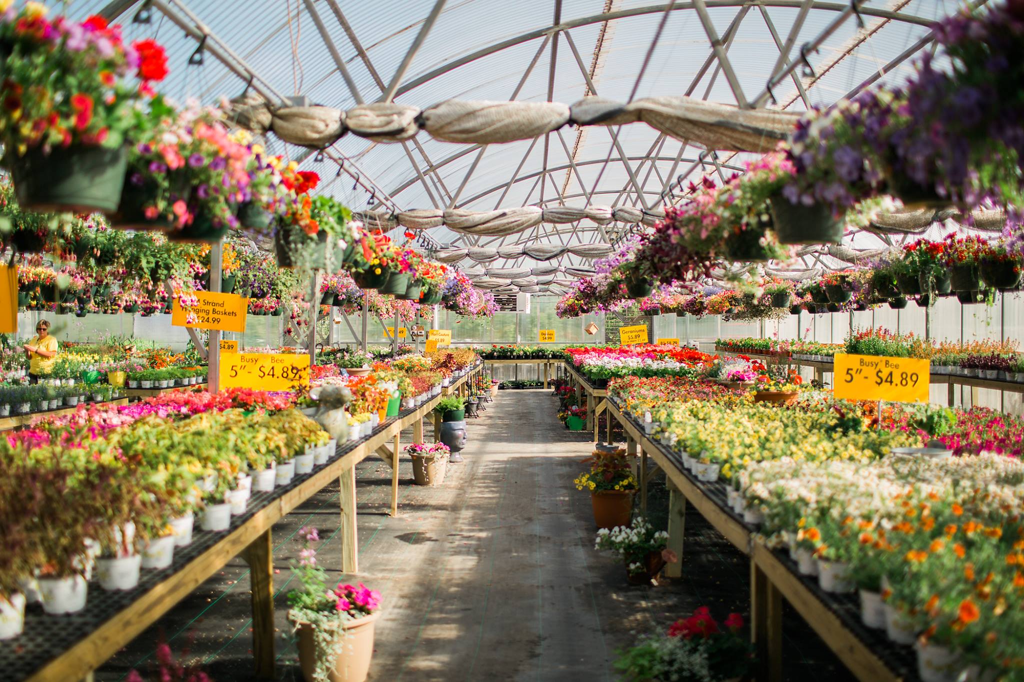 Busy Bee Garden Center