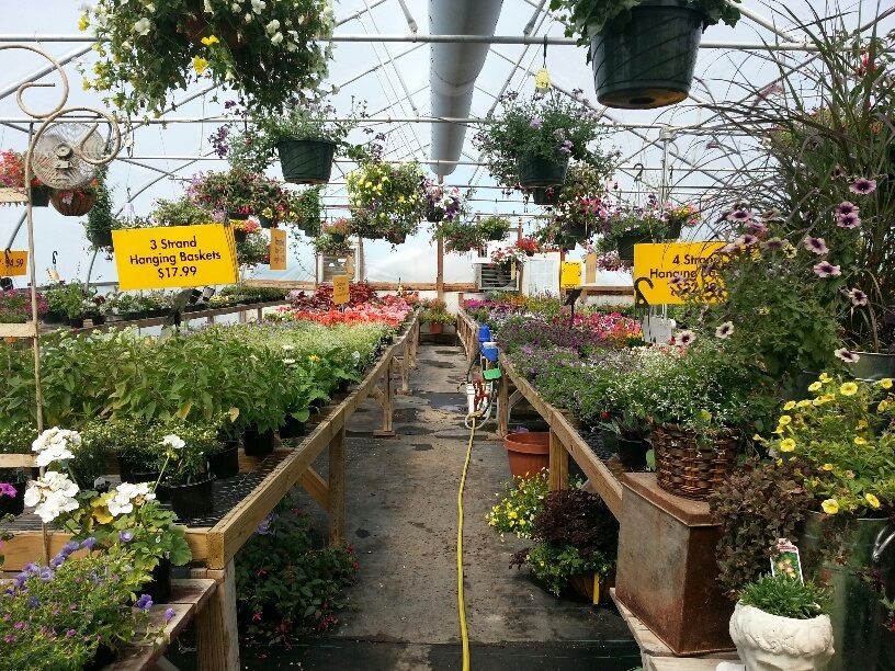 Busy Bee Garden Center