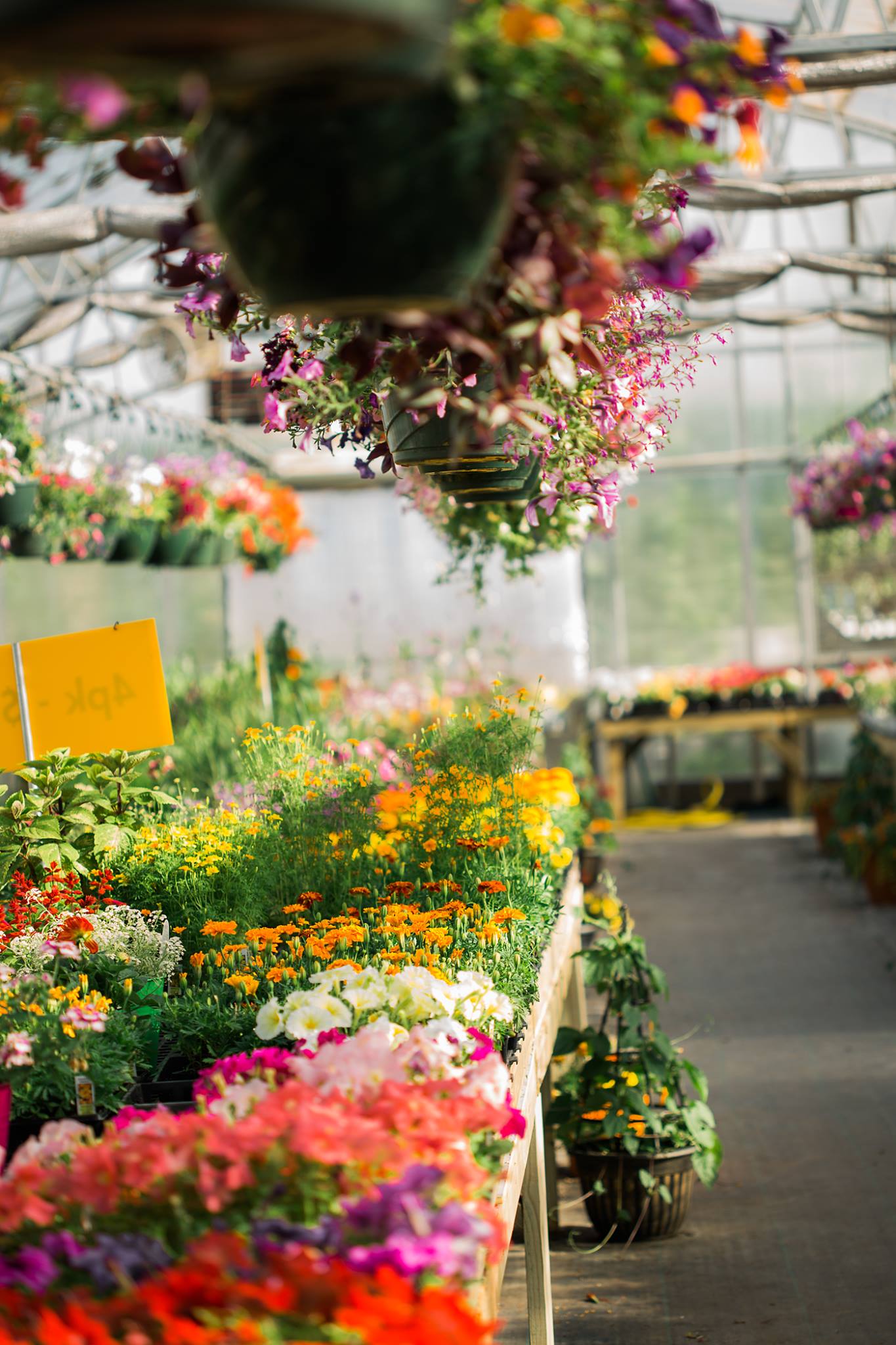 Busy Bee Garden Center