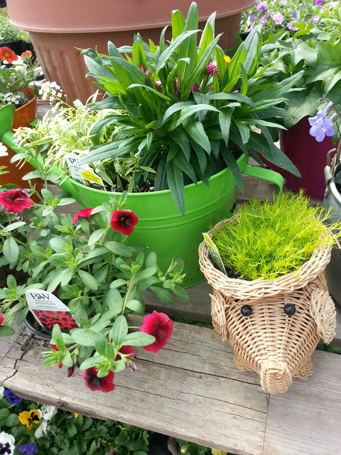 Busy Bee Garden Center