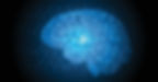 Tricare epilepsy neurologist Houston TX, epilepsy neurologist Tricare, houston sleep doctor