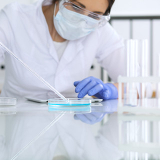 Investigación