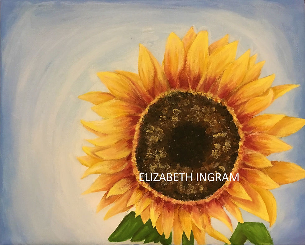 sunflower2