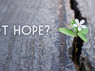 Got Hope?