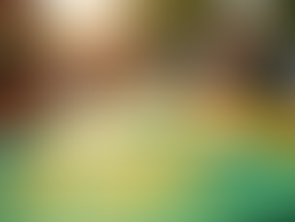 Join the Fun: Register for Softball Club Membership