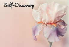 yuvalna_Create_a_studio_photo_of_a_stunn