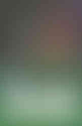 Green Arrow: The longbow Hunters by Mike Grell