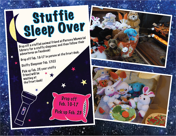 Stuffie Sleep Over