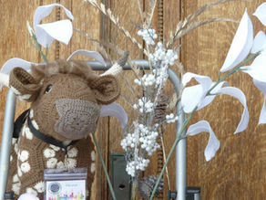 Stuffie Sleep Over Update from Hewie