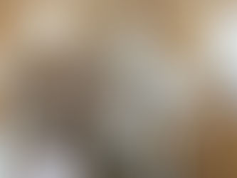 Stuffie Sleep Over Update from Hewie