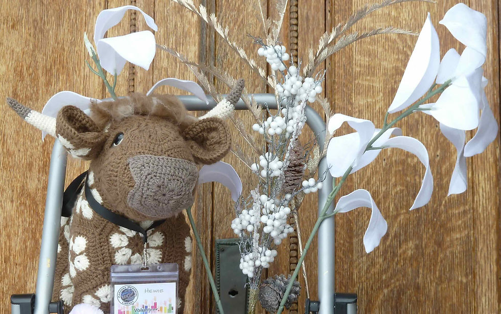 Stuffie Sleep Over Update from Hewie