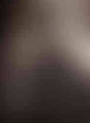 Somewhere, a Boy and a Bear