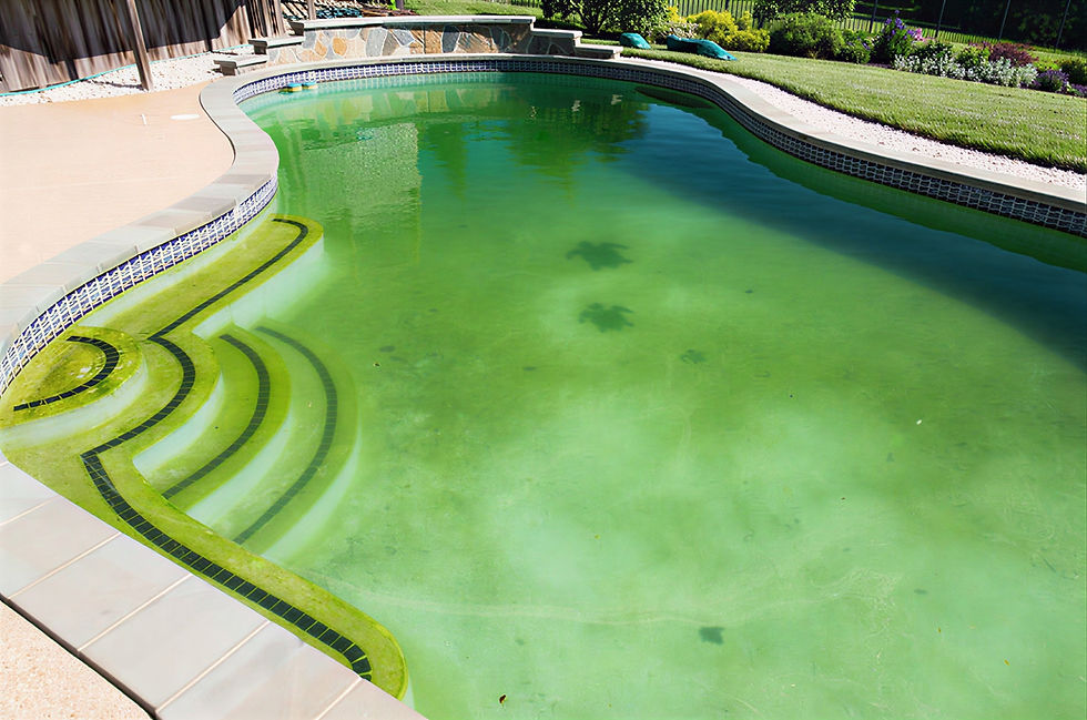 Dirty swimming pool with green algae water needing maintenance