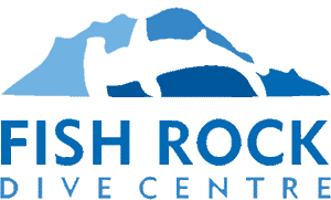 fish-rock-No-background_150x150_2x.gif