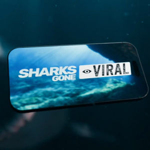 Sharks Gone Viral - Show Open