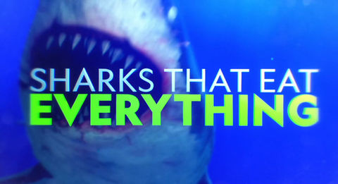 Sharks That Eat Everything - NatGeo - Main Title Animation