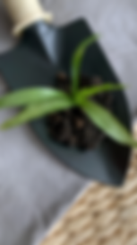 Products for your garden.png