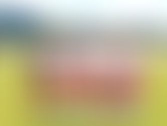 Futebol feminino - Red Bull Bragantino inicia treinos da pré-temporada de olho no Brasileirão A1 com nove reforços