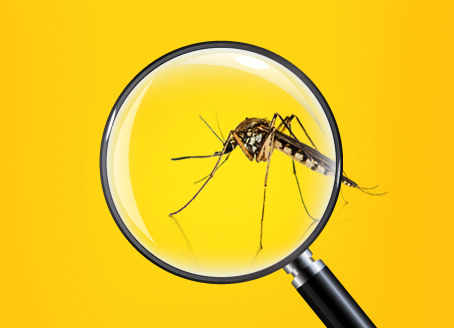 Secretaria de Estado da Saúde emite alerta epidemiológico sobre Febre Amarela